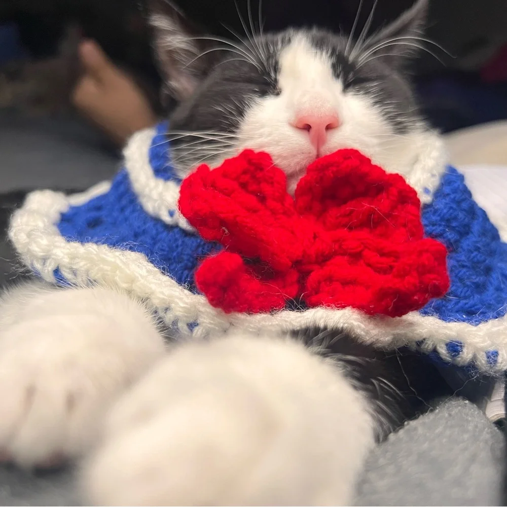 Sailor Moon-esque Cat Collar
